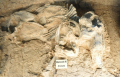 News - Waco Mammoth Site Opens to the Public 09.12.05, Photo 6 of 13