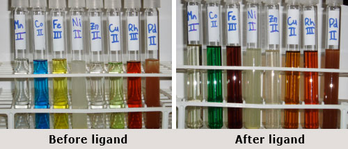 Garner Research 2