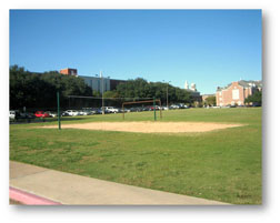 Bear Park