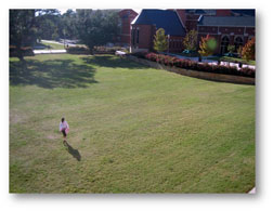 Minglewood Bowl