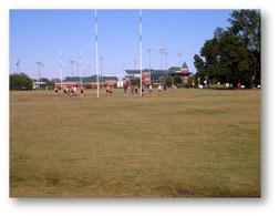 BSB Fields