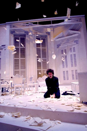 The Seagull