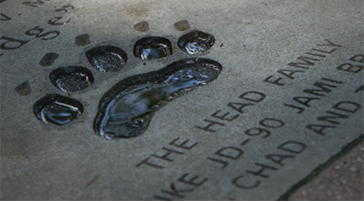 Paver Header