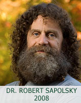 Lecture 2008 Robert Sapolsky