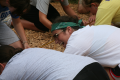 gallery_23