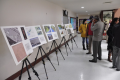 News - Doris Miller Memorial Committee Designates Artists 11.01.16, 1 of 23