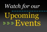 Newsletter Sidebar