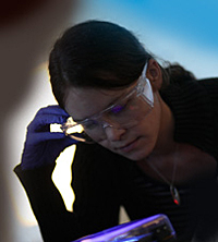 Exporation - section image
