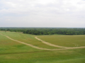 1st Mow 02