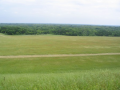 1st Mow 03