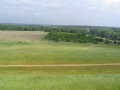 1st Mow 08
