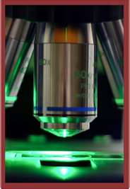 Microscope