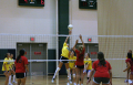 2010 Volleyball 319