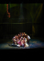 Urinetown - 2008