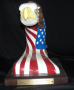 Eagle's head wrapped in US Flag,