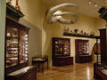 Cabinets of Curiosities (hi-res)