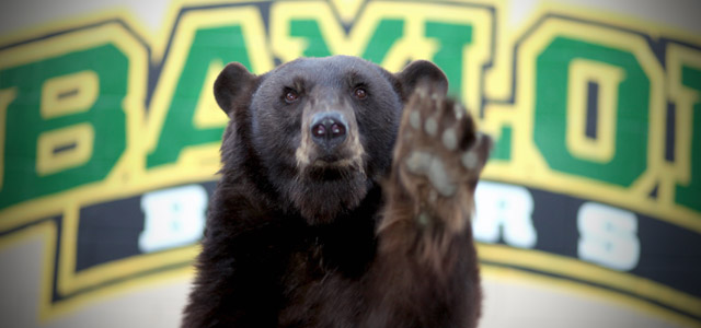 Bear Mascot