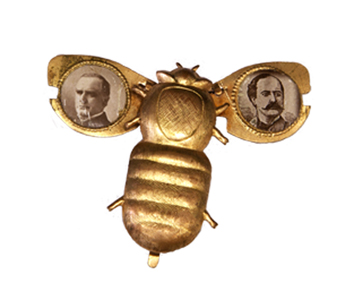 McKinley Bug