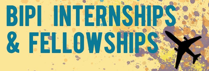 BIPI Internships Button
