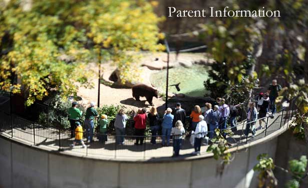 Parent Information