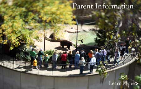 Parent Information