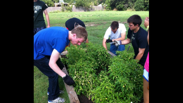 CBC Garden
