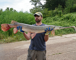 King_Ryan_record_longnose
