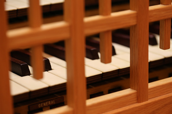 Organ 2
