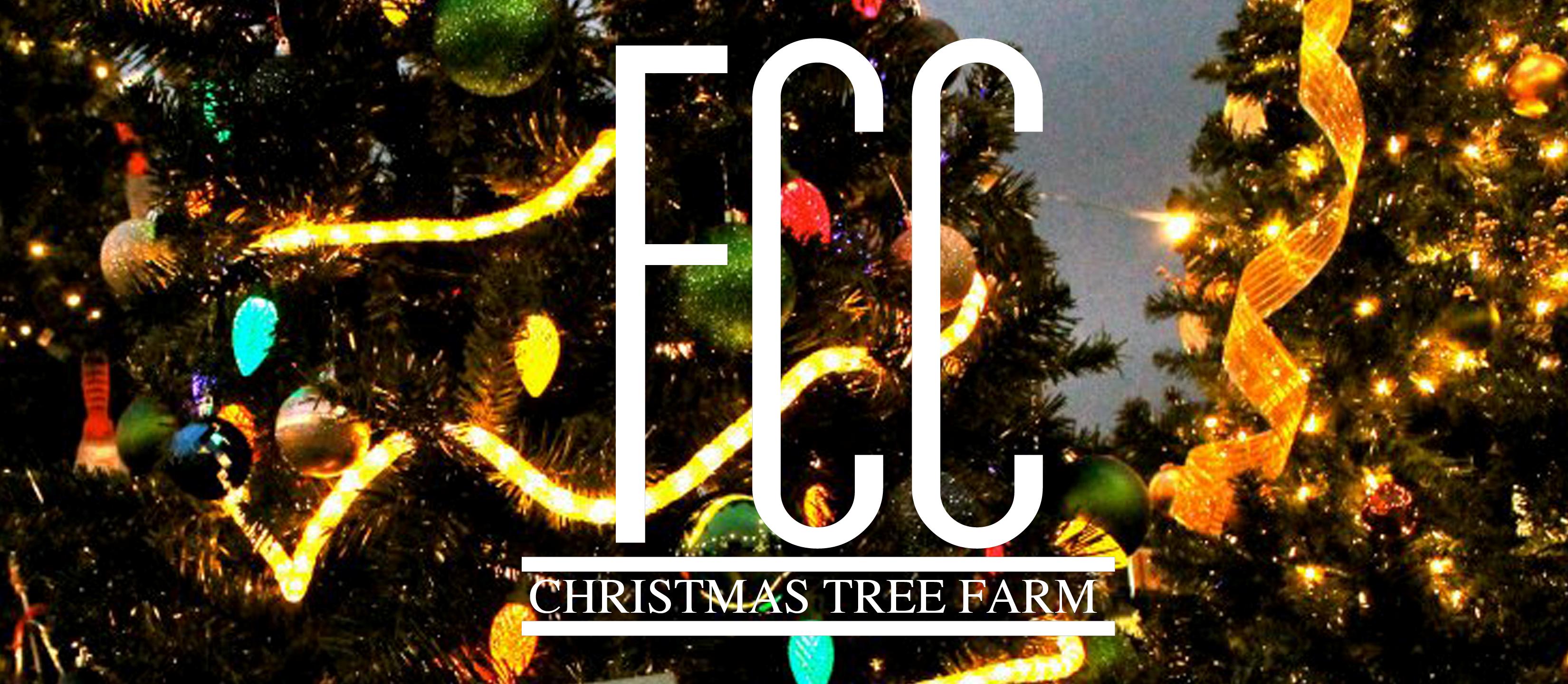 FCC Christmas Tree Farm