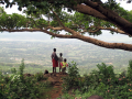 Africa--Flora Park