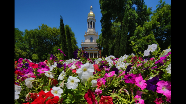 Sadie Jo Black Gardens and Pat Neff Hall