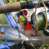 [Fishing]