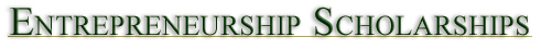 Entrepreneurship Scholarships