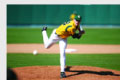 Baylor Foundation - Focus on the Future Teaser Pitcher