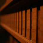 Winter Pastors Thumb