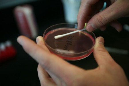 laboratory sample