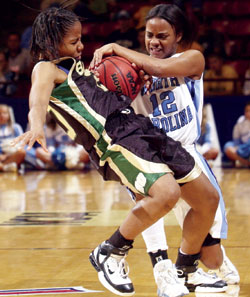 lady_bears