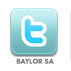 sa twitter icon