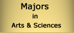 Majors Button