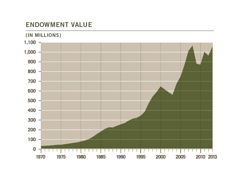 Endowment Value 2013