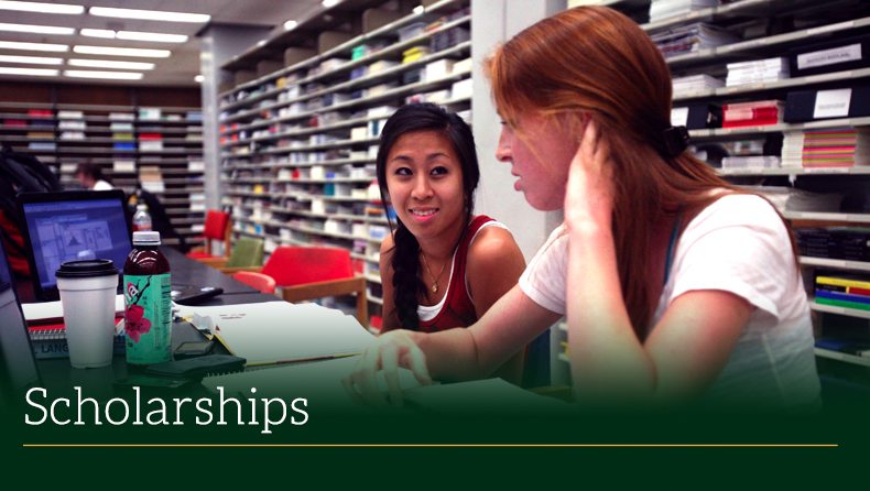 NewDevelopmentScholarships