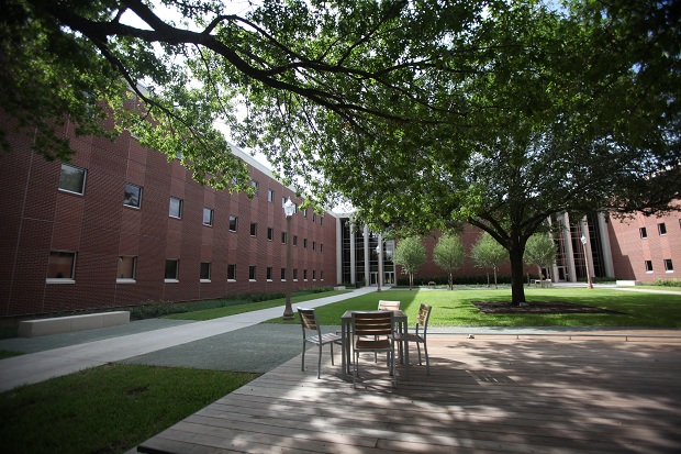 Baylor HESA Logo