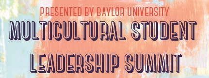 MSLS 2015 banner