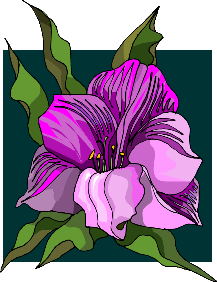 STT Orchid (w x h, 0 KB)