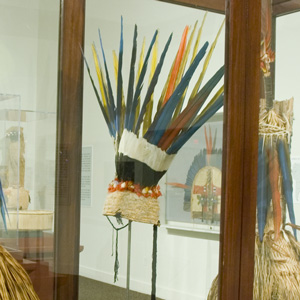 Tapirap� Headdress