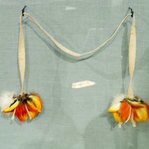 Shuar Shoulder Ornament