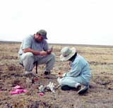 taphonomy duo