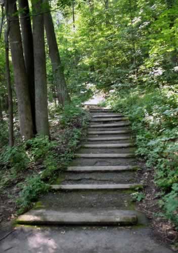 Tropical Stairs 2
