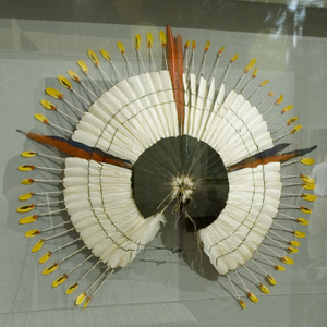 kayapo tribe headdress