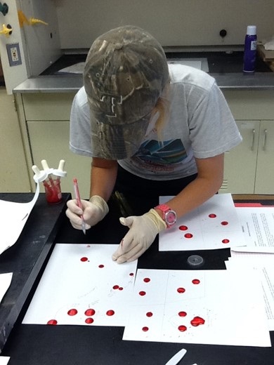 A student studies a blood spray pattern on a table